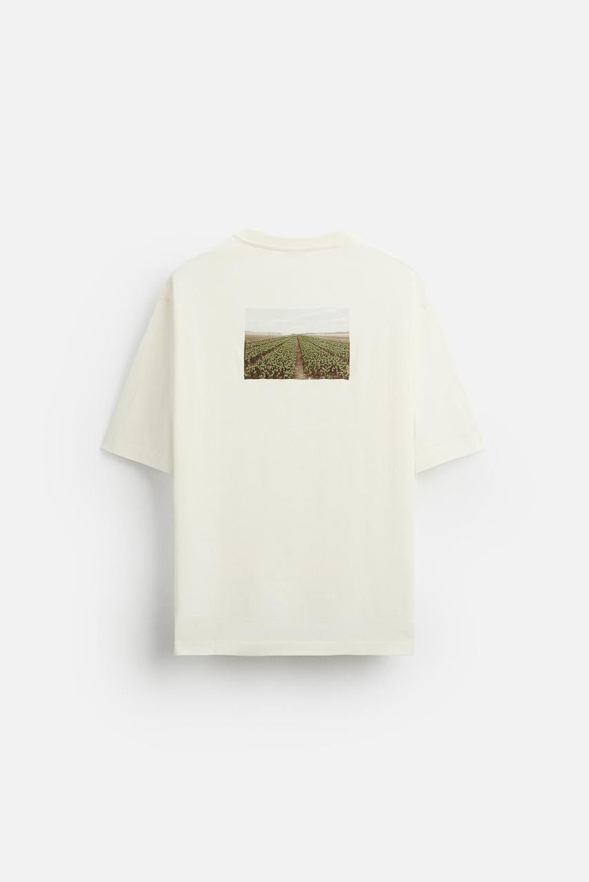 T-shirt/ Zara
