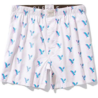 Boxer/ American Eagle 🦅